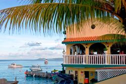 Buddy Dive Resort - Bonaire. Breakfast area.